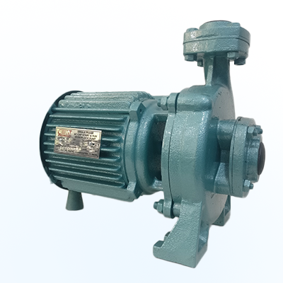 Monoblock Pumps - 2